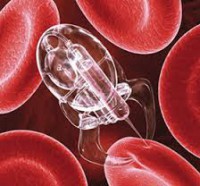 /album/todo-sobre-nanotecnologia/tratamiento-tumor-jpg/